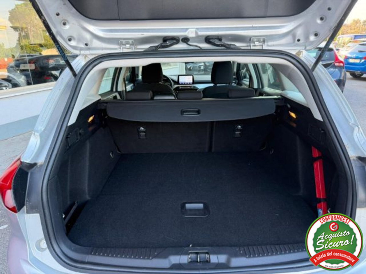 Ford Focus Station Wagon 1.5 EcoBlue 120 CV automatico SW Business (15)