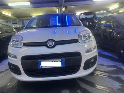 Fiat Panda 1.2 Lounge usata