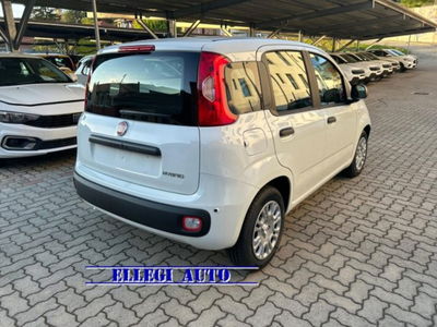 Fiat Panda 1.0 firefly hybrid s&s 70cv nuova