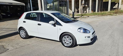 Fiat Punto 1.3 MJT II 75 CV 5 porte Street usata