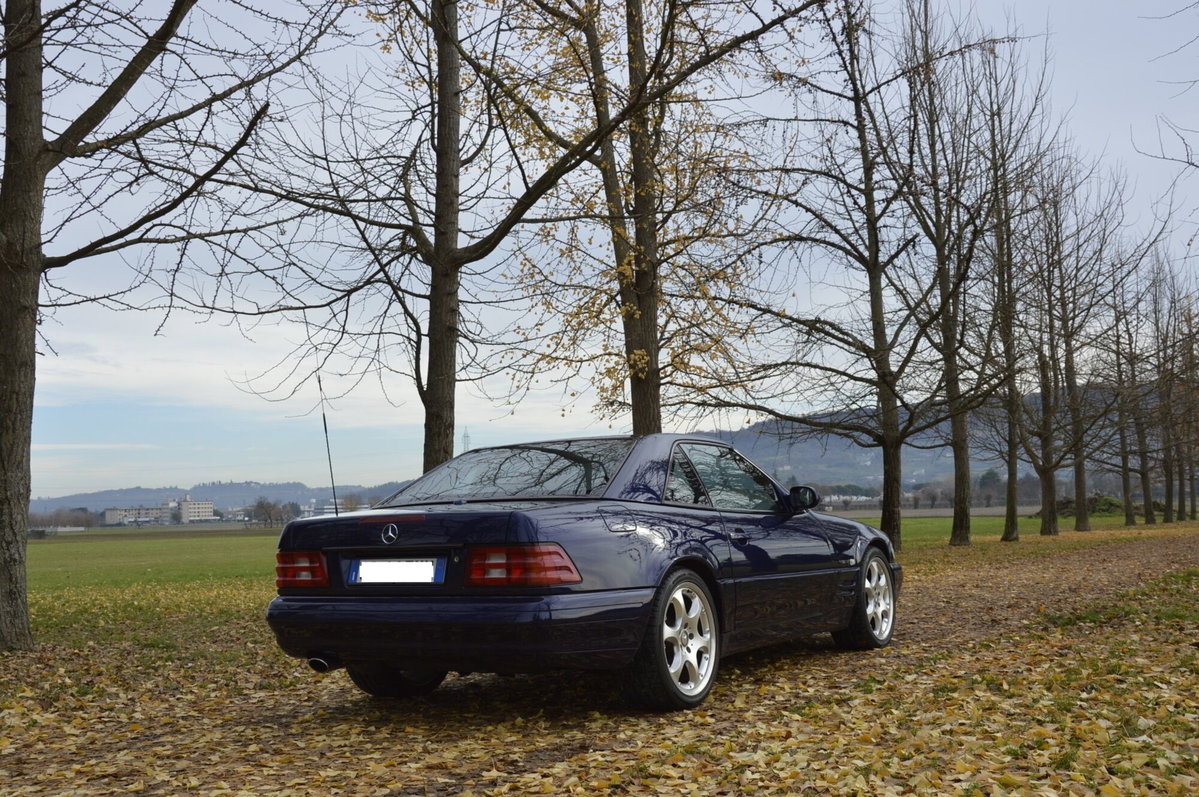 Mercedes-Benz SL 320 V6 cat (18)