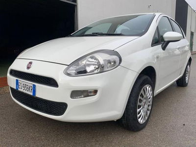 Fiat Punto 1.4 8V 5 porte Natural Power Lounge usata