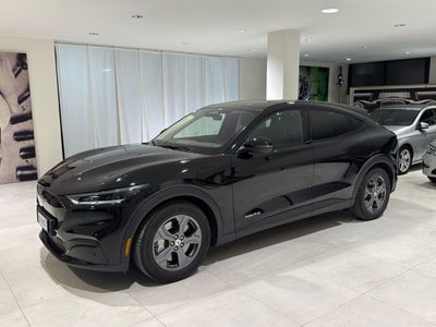 Ford Mustang Mach-E Standard 269CV usata