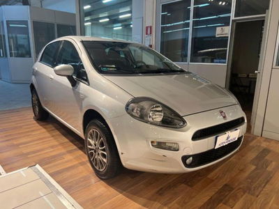 Fiat Punto 1.4 8V 5 porte Natural Power Easy usata