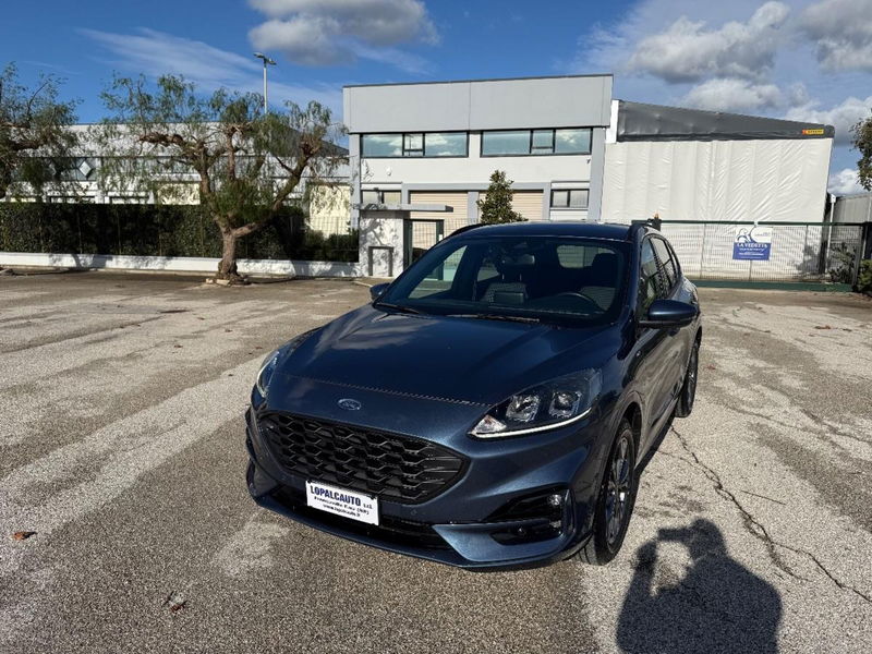 Ford Kuga 1.5 EcoBlue 120 CV 2WD ST-Line