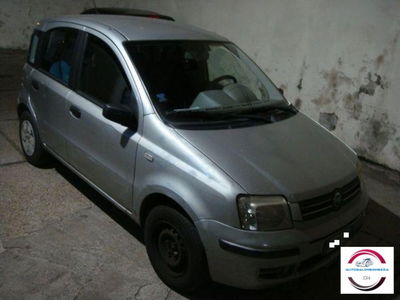 Fiat Panda 1.2 Dynamic usata