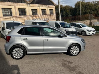 Volkswagen Polo 1.4 5 porte Comfortline usata