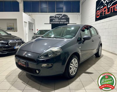 Fiat Punto 1.2 8V 5 porte Street usata