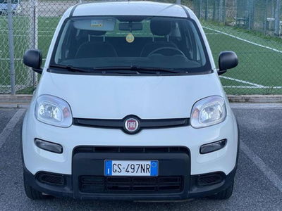 Fiat Panda 1.0 firefly hybrid s&s 70cv 5p.ti usata
