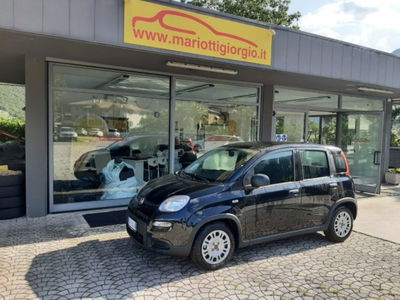 Fiat Panda 1.0 firefly hybrid s&s 70cv 5p.ti usata