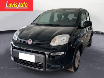 Fiat Panda 1.0 firefly hybrid s&s 70cv 5p.ti nuova