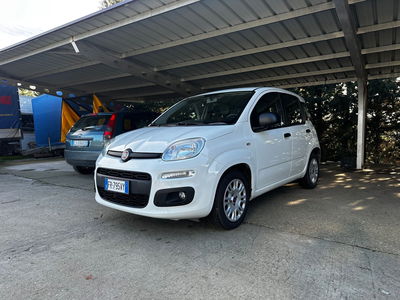 Fiat Panda 1.3 MJT 95 CV S&S Easy usata