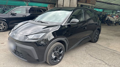 Byd Dolphin Surf 30 kWh Active (2)