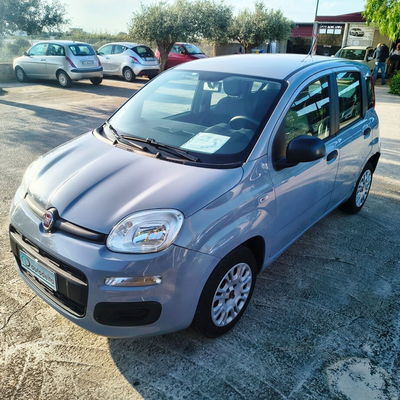 Fiat Panda 1.2 Easy usata