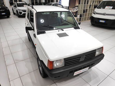 Fiat Panda 1100 i.e. cat 4x4 usata