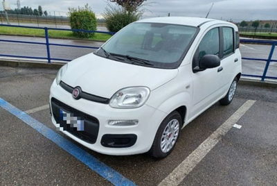 Fiat Panda 1.2 Easy usata