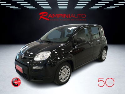 Fiat Panda 1.0 firefly hybrid s&s 70cv usata