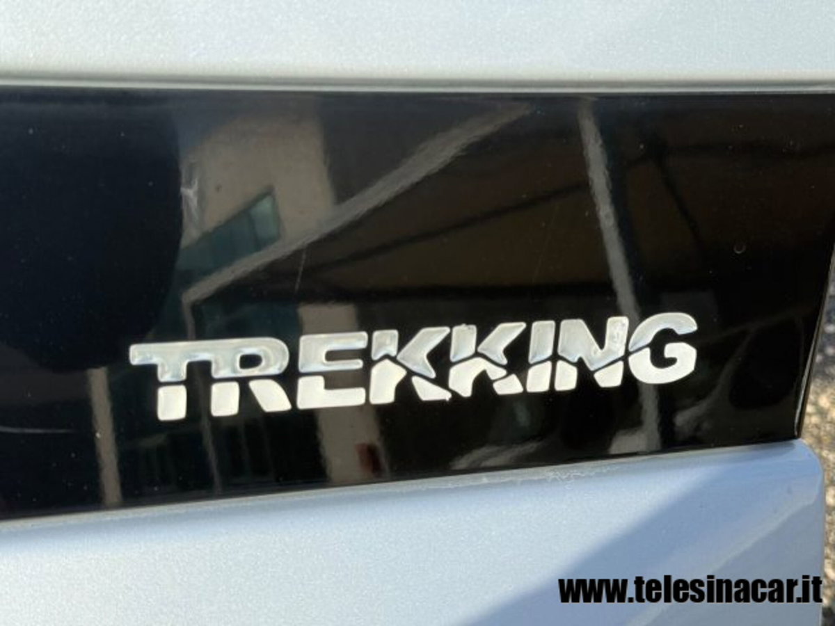 Fiat Fiorino qubo N1 1.3 mjt 95cv trekking (9)