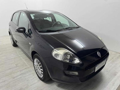 Fiat Punto 1.2 8V 5 porte Lounge usata