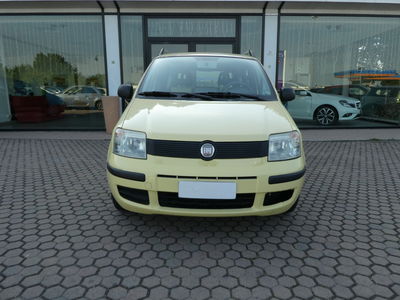 Fiat Panda 1.2 Dynamic usata