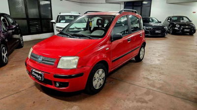 Fiat Panda 1.2 4x4 usata