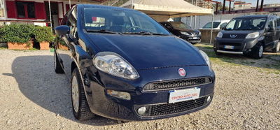 Fiat Punto 1.4 8V 5 porte Easypower Street usata