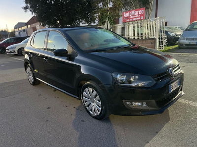 Volkswagen Polo 1.6 TDI DPF 5 porte Comfortline usata