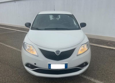 Lancia Ypsilon 1.2 69 CV 5 porte GPL Ecochic Alberta Ferretti usata