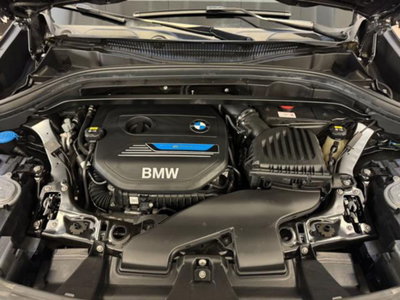 BMW X1 xDrive25e xLine Plus (7)