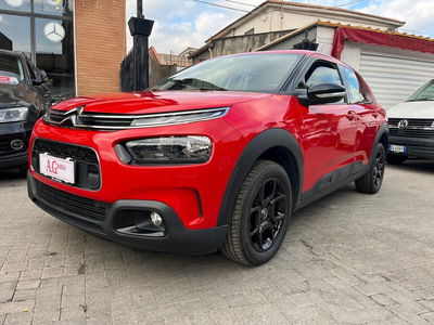 Citroen C4 Cactus BlueHDi 100 Shine usata