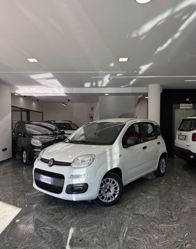 Fiat Panda 1.2 EasyPower Easy usata
