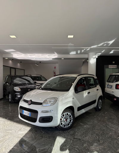 Fiat Panda 1.3 MJT S&S Easy usata