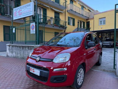 Fiat Panda 1.3 MJT S&S Easy usata