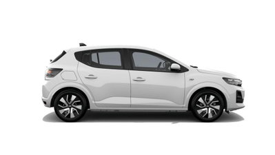 Dacia Sandero Streetway 1.2 Eco-G Expression 120cv auto (3)