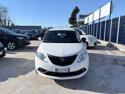 Lancia Ypsilon 1.2 69 CV 5 porte Platinum usata