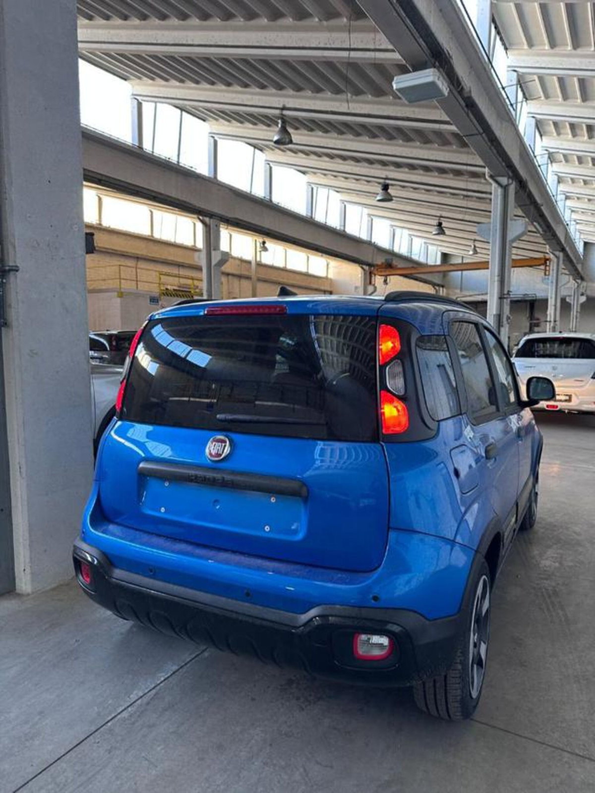 Fiat Panda 1.0 firefly hybrid s&s 70cv 5p.ti (15)