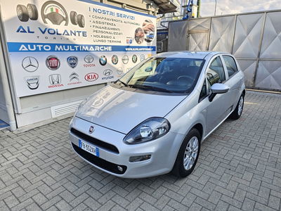 Fiat Punto 1.2 8V 5 porte Lounge usata