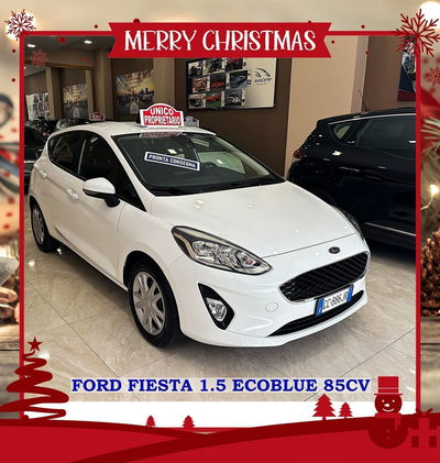 Ford Fiesta 1.5 EcoBlue 5 porte Business High usata