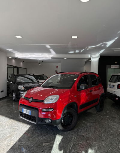 Fiat Panda 0.9 TwinAir Turbo S&S 4x4 Wild usata