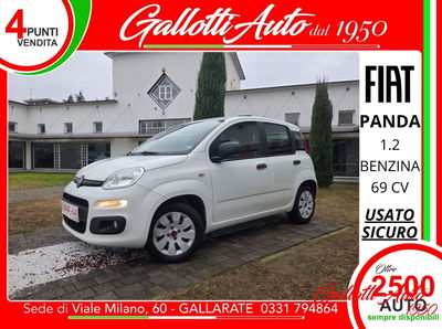 Fiat Panda 1.2 Easy usata