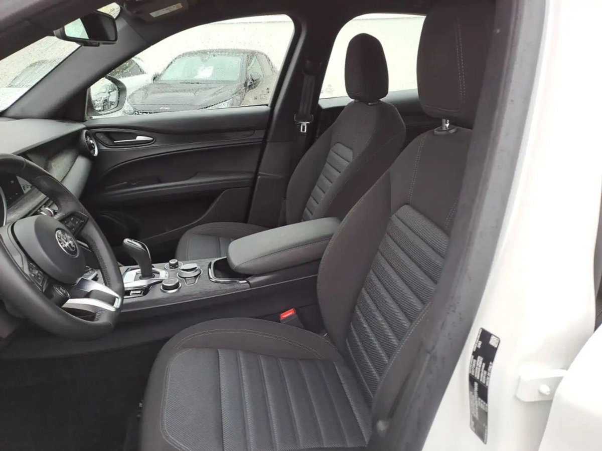 Alfa Romeo Stelvio Stelvio 2.0 Turbo 280 CV AT8 Q4 Veloce (14)