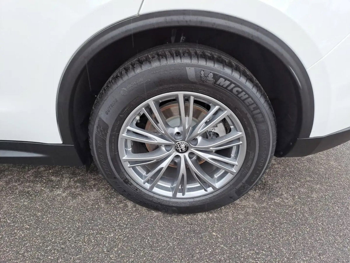 Alfa Romeo Stelvio Stelvio 2.0 Turbo 280 CV AT8 Q4 Veloce (15)