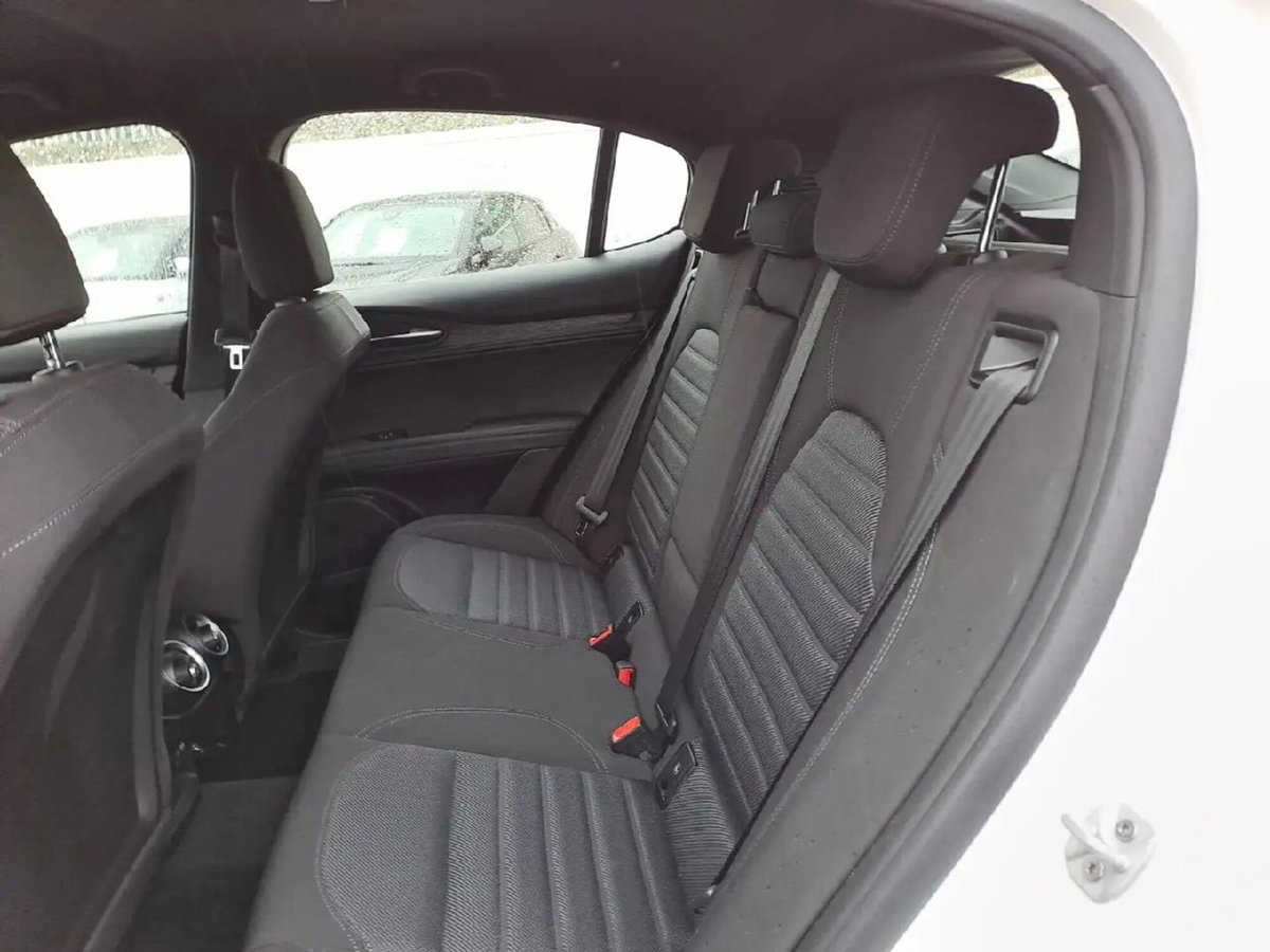 Alfa Romeo Stelvio Stelvio 2.0 Turbo 280 CV AT8 Q4 Veloce (7)