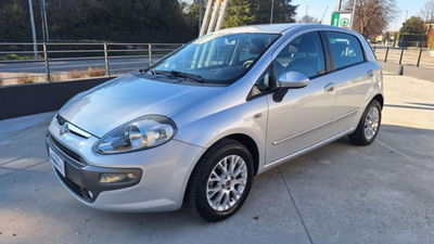 Fiat Punto Evo 1.4 5 porte Active GPL usata