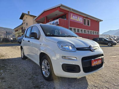 Fiat Panda 1.2 Easy usata