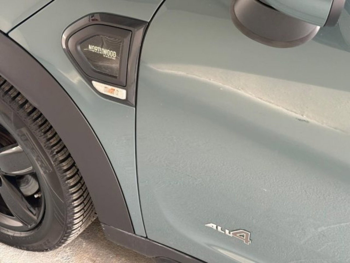 MINI Mini Countryman 2.0 Cooper D Northwood Edition Countryman ALL4 (19)