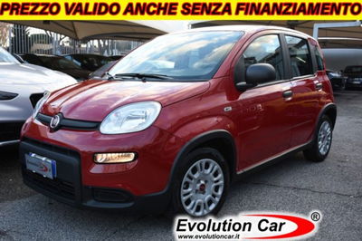 Fiat Panda 1.0 firefly hybrid s&s 70cv usata