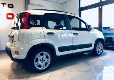 Fiat Panda 1.0 FireFly S&S Hybrid City Cross (15)