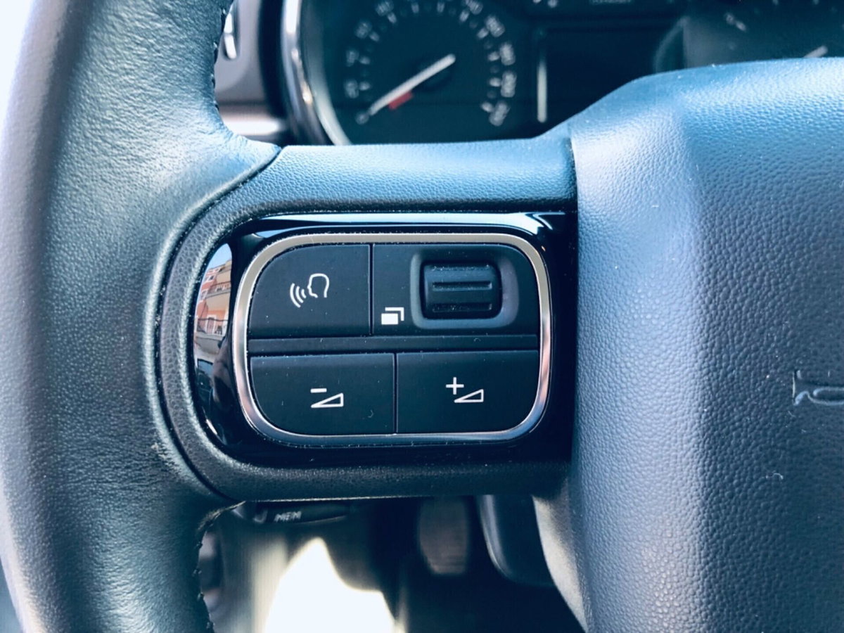 Citroen C3 BlueHDi 100 S&S Shine Pack (10)