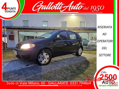 Fiat Punto 60 cat 5 porte S usata